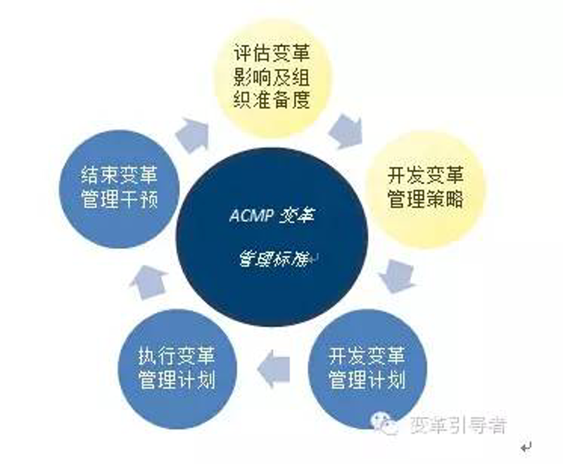 组织变革:从迷茫到清晰的蜕变之路